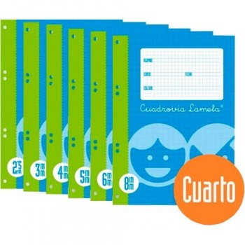 Recambio cuarto 100 hojas