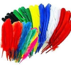 Plumas de indio 100 ud.
