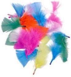 Plumas Collage 6 colores 24uds