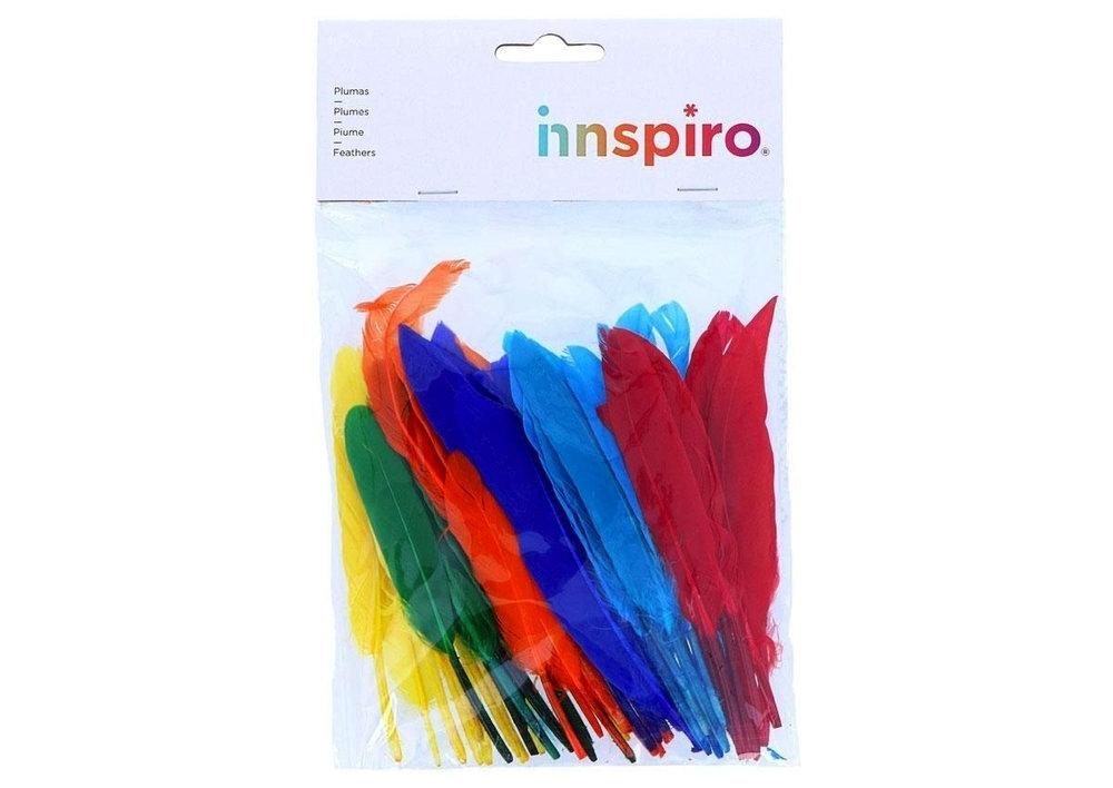 PLUMAS DE INDIO COLORES SURTIDOS
