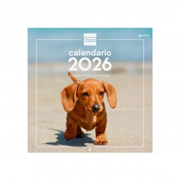 CALENDARIO PARED FINOCAM 2026 30X30 CACHORROS