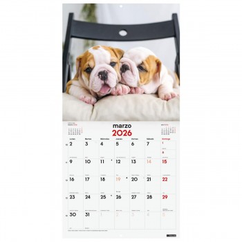 CALENDARIO PARED FINOCAM 2026 30X30 CACHORROS