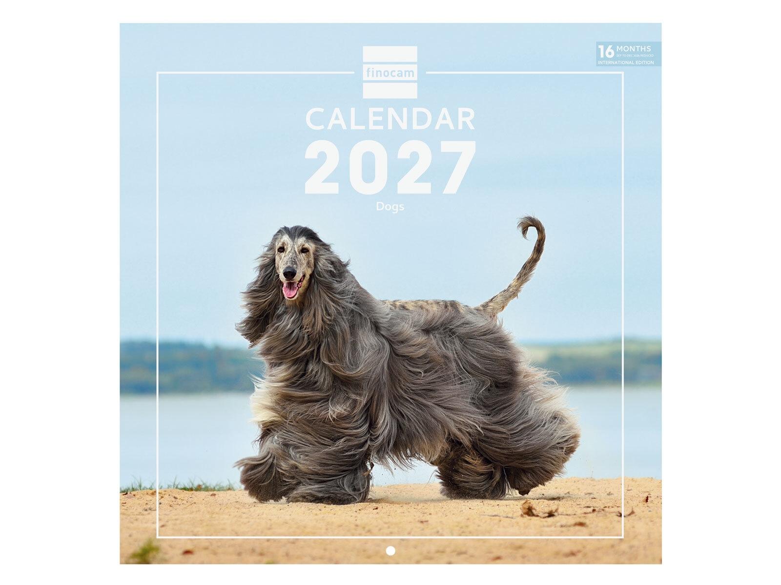 CALENDARIO ANUAL 2027  WALL CAL.30X30 2027 DOGS INTL+ 300x300 mm