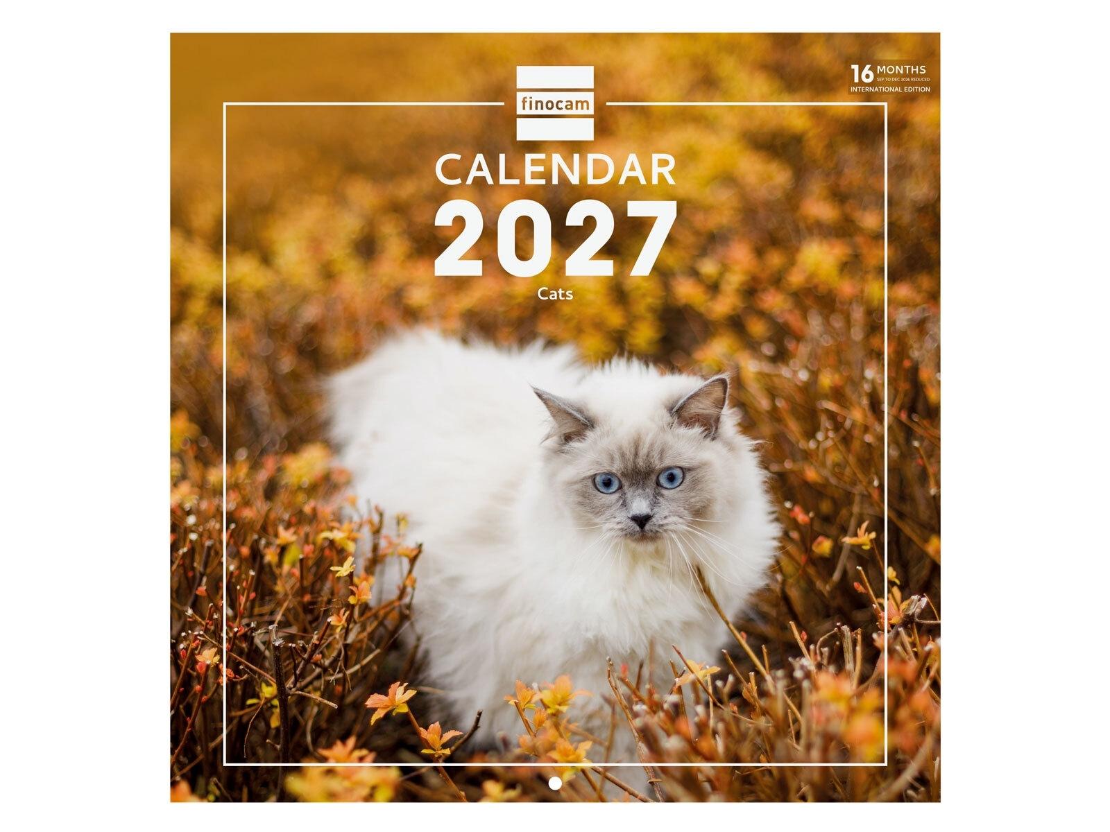CALENDARIO ANUAL 2027  WALL CAL.30X30 2027 CATS INTL+ 300x300 mm