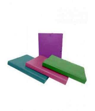 CARPETA DE PROYECTOS LOMO 3CM COLORES PASTEL