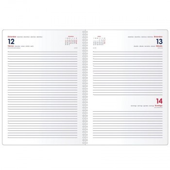 AGENDA ANUAL DOHE 2026 21X29 D/P SYNCRO AZUL