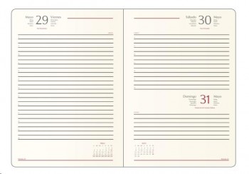 AGENDAS ANUALES 2026 BOLONIA VERDE DÍA PÁGINA 15 x 21