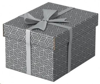 CAJA DE ALMACENAJE PEQUEÑAS 255X200X150 COLOR GRIS