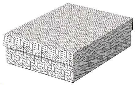 CAJA DE ALMACENAJE MEDIANA 360X265X100 COLOR BLANCO