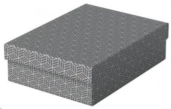 CAJA DE ALMACENAJE MEDIANA 360X265X100 COLOR GRIS