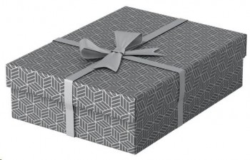 CAJA DE ALMACENAJE MEDIANA 360X265X100 COLOR GRIS